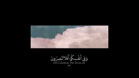 وفي انفسكم افلا تبصرون (سورة الذاريات)❤️