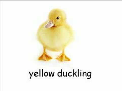 Download The Color Yellow - YouTube