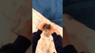 Sen Ne Tatlı Yatıyorsun