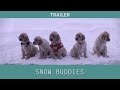 Snow buddies 2008 trailer