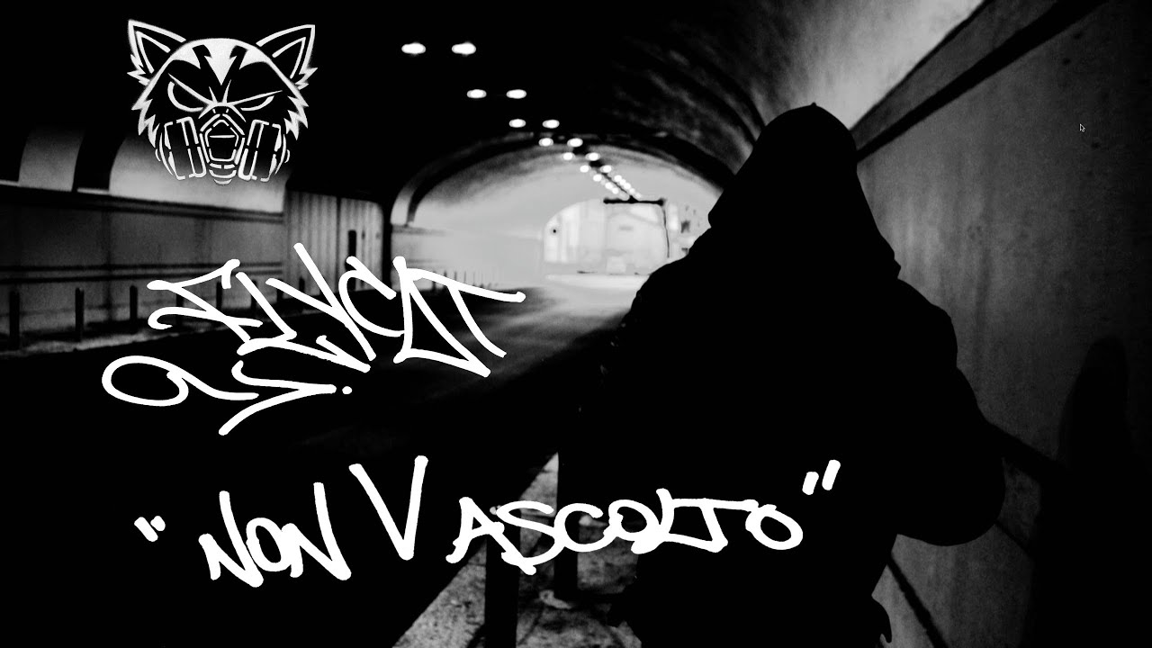 VIDEO FLYCAT NON V'ASCOLTO