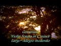 Geminiani (ジェミニアーニ, ヴァイオリンソナタ,ハ短調1,2楽章) Violin Sonata in C minor, Largo~Allegro moderato.