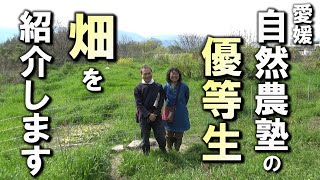 【自然農】楽園のような畑を紹介します　2024年4月13日【natural farming】