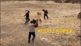 ADAM ISTIRAN KÖPEK YARGIÇ