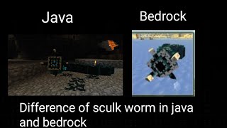 Difference of Sculk Worm in java and bedrock