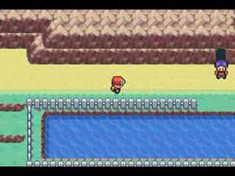 Pokemon chaos black gameshark codes