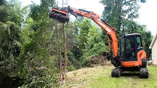 ELIMINATE EVERYTHING! WISTERIA INFESTED POND NEED SERIOUS MUNCHIE MAKEOVER!