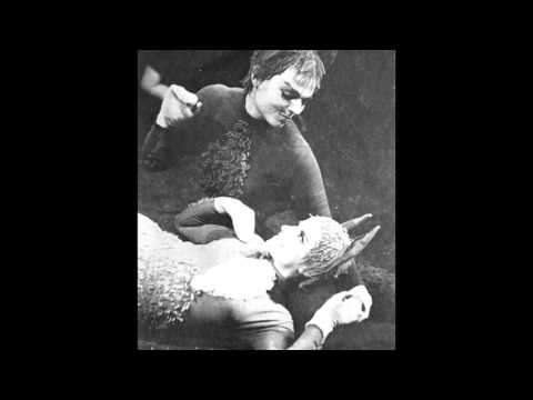 Příhody lišky Bystroušky / The Cunning Little Vixen