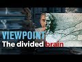 The divided brain — interview with Iain McGilchrist | VIEWPOINT