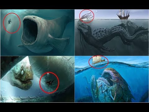 Vídeo: Secretos De Las Profundidades Del Mar Y Ndash; Monstruos, Monstruos Y Mdash; Vista Alternativa