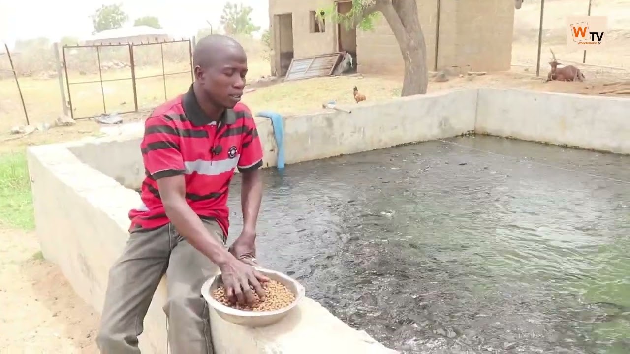 Yadda Wani Matashi Yayi Fice Wajen Kiwon Kifi A Jihar Bauchi