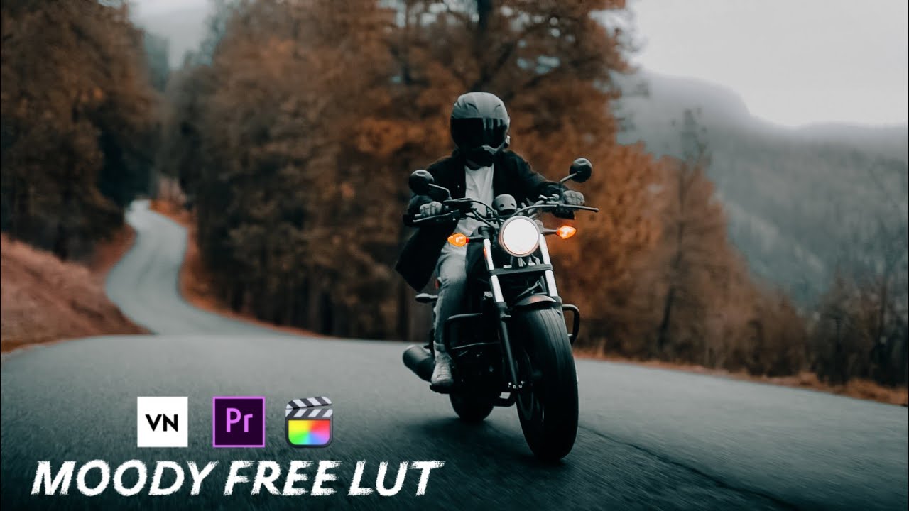 Free Moody Bike Lut | VN Editor Luts | Premiere Pro | FCPX |Colour Grading In Mobile (VN Editor)