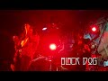 &quot;Black Dog&quot; Performed by Jimmy Sakurai Plays ZEP, Live at Crocodile.　LED ZEPPELIN 1975 US Tour