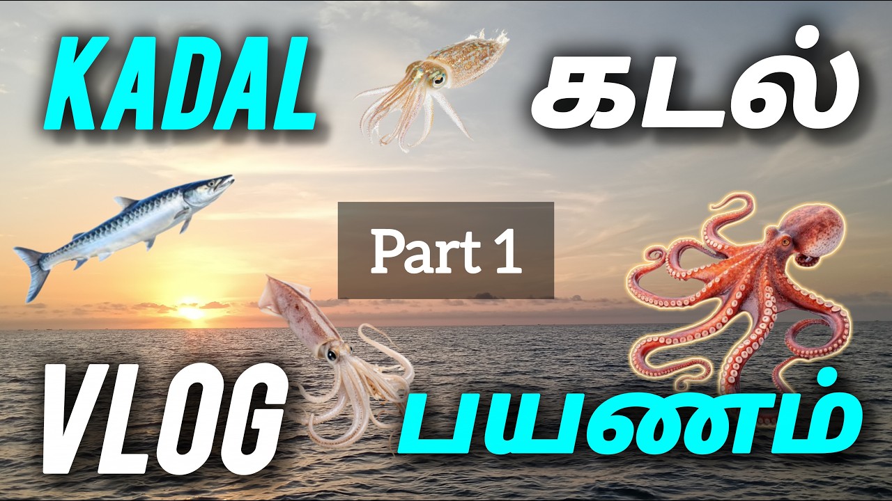 KADAL 🌊VLOG🎥 part 1