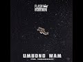 Flash Ikumkani - Umbono Wam (Visualiser)