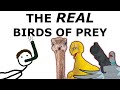 The real birds of prey