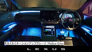 RXイルミネーションアップグレード Mellow Glow紹介｜LEXUS UPGRADE FACTORY
