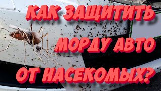 Как защитить «морду» авто от насекомых? ТОП-5 способов!