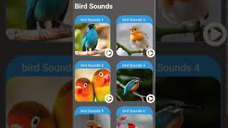 Bird Sounds - Relax Sounds screenshot 2