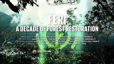 Forest Ecosystem Restoration Initiative: A Decade of Forest Restoration