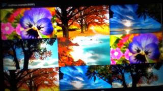 ListViewAnimations - Expandable List Items and GridView