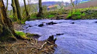 The relaxation sound of a stream against stress || The calming sound of a stream for relaxation.
