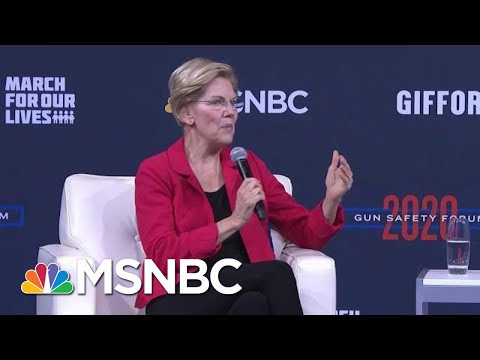 Warren: Trump's Dangling Potential Gun Reform Is 'Corruption In Washington' | Craig Melvin | MSNBC