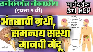 समन्वय संस्था , अंतस्रावी ग्रंथी , मानवी मेंदू |सामान्य विज्ञान By STI RCP |GENERAL SCIENCE BIOLOGY