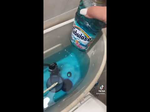 fabuloso in toilet