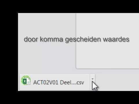 Excel: csv extensie