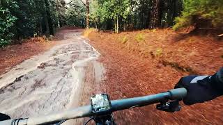 Bosquete De Los Sanguinos