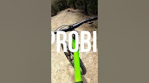 Walmart Mountain bike at Trails Downhills