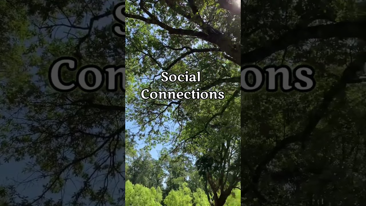 7 Habits of Happy People