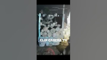 Mém Thì Ăn Chuối Cả Nải Rồi "Phen" Ơi #youtubeshorts #ytshorts #shortvideo #shorts #music