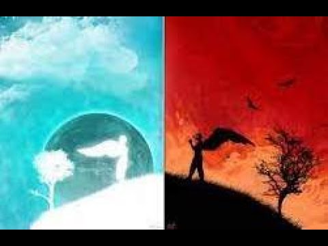 11.4. Добро и зло в человеческой природе. Существуют ли абсолютное добро и зло?