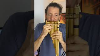 El Pituco - Version Zampoña #flautaindígena #flute #panflute #music