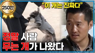 “이 개는 정말 무는 개에요” 강형욱도 물어버리는 슈나우져 폭군견 짱구의 문제점 │세상에 나쁜 개는 없다 │알고e즘│