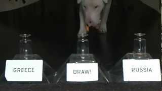 Greece vs Russia EC 2012: Tarot's prediction