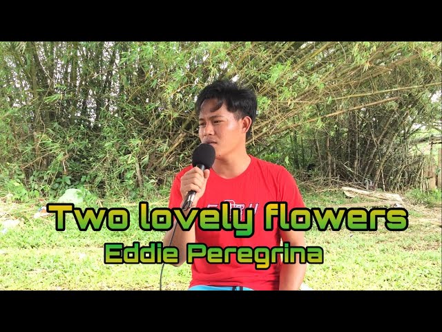 Eddie Peregrina - Two lovely flowers class=