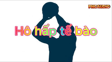 KHTN 7 (Sinh học) - Hô hấp tế bào - Cellular respiration - biology video - PNCaudio