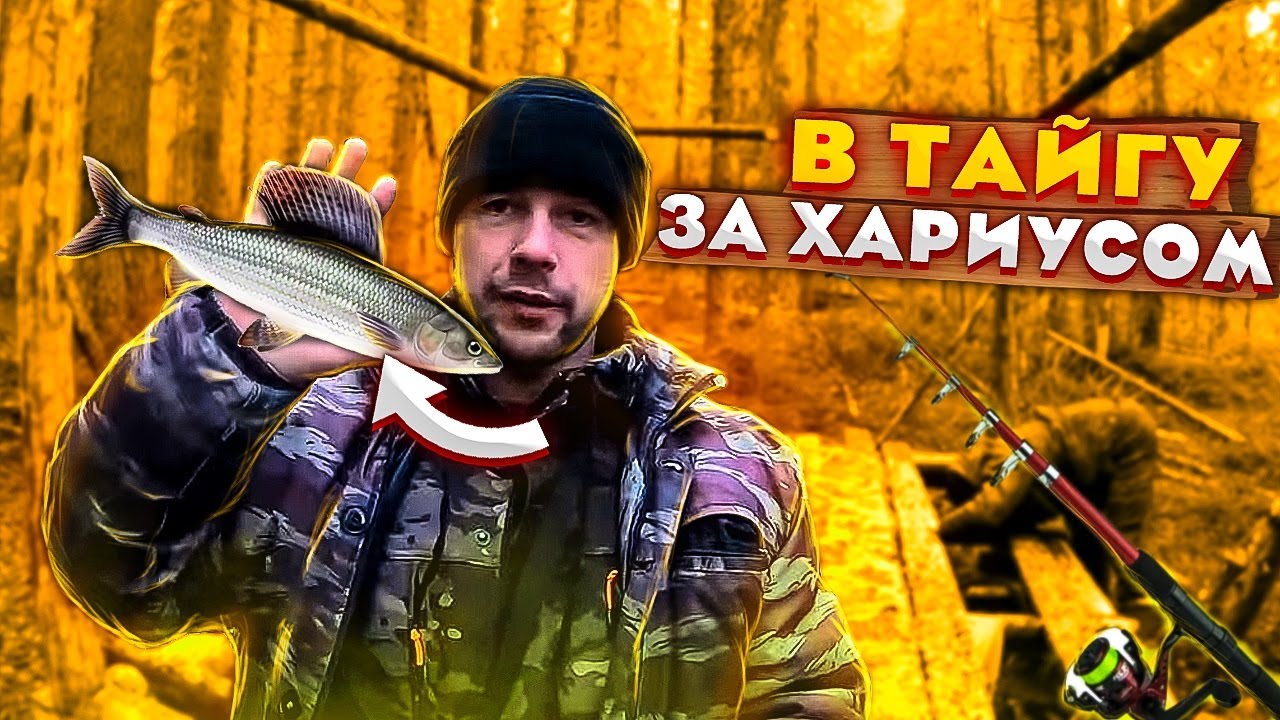 Тойота хариус фото