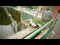 和歌山公園動物園 の動画、YouTube動画。