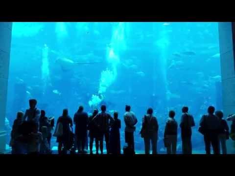 The Lost Chambers Aquarium at The Atlantis Dubai