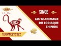 Astrologie chinoise bazi  anne du tigre 2022  signe du singe 