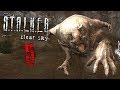 СМЕРТЕЛЬНЫЙ РЫЖИЙ ЛЕС • Прохождение S.T.A.L.K.E.R.: Чистое Небо #5