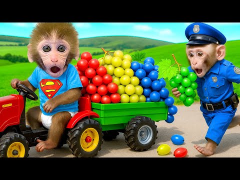 BonBon the monkey sells rainbow ice cream in the park and runs away from an animal - HT Animal World