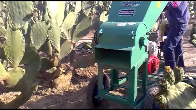  Cactus Peeler (Pelador de Nopales) - 1 unit: Home & Kitchen