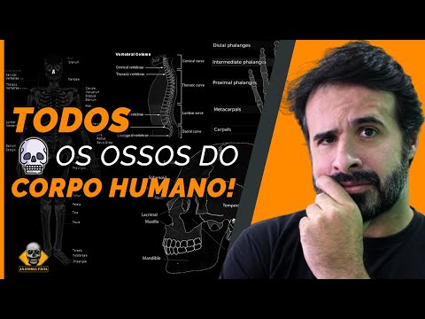 Vídeo: Despojado Até Os Ossos