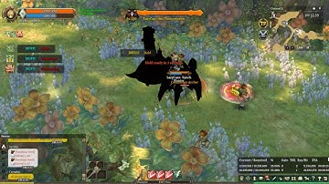 Tree of Savior (TOS) INA: Throneweaver Skill Sorcerer Card Test