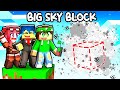 HO FATTO ESPLODERE UN'ISOLA PER VENDICARMI su MINECRAFT! - BIG SKYBLOCK